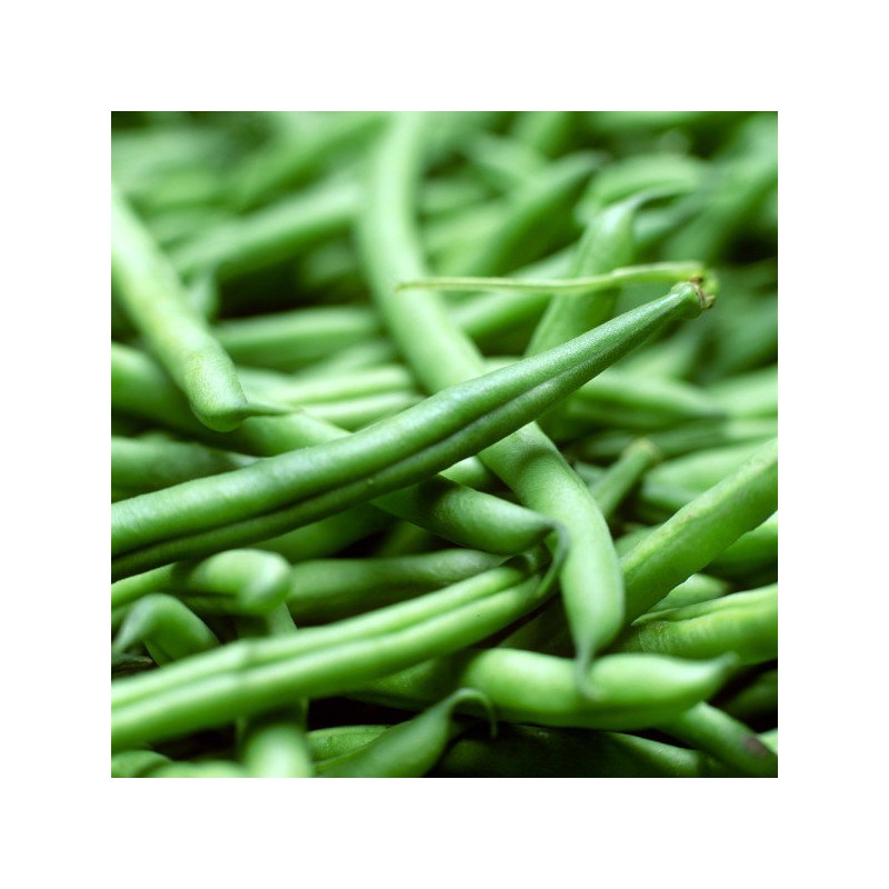 [Chamgoods] Guar Gum Hydrolyzate Pro Balance 200g 5 cans /