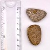 Picture Jasper Large Crystal Tumbled Stone, Palmstone Shape. 30-36mm in