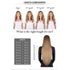 Sunny Clip in Hair Extensions Real Human Hair Hair Chocolate