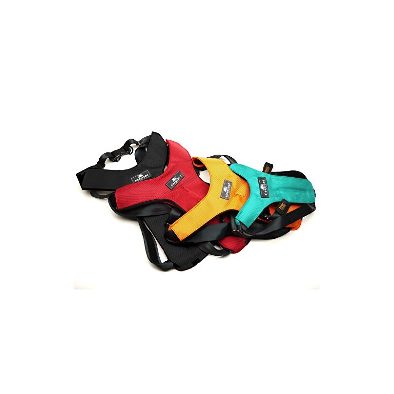 Sleepypod Clickit Sport