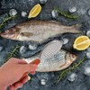 Fish Scaler Brush Stainless Steel Fish Scaler Remover Sawtooth Fish