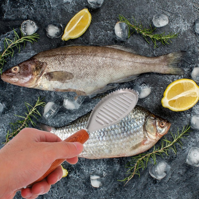 Fish Scaler Brush Stainless Steel Fish Scaler Remover Sawtooth Fish