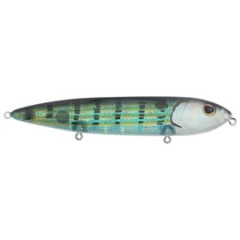 Berkley J-Walker 120 Topwater Fishing Lure, Pinfish, 5/7 oz, 120mm Topwater, Tail Weighted Design Tuned for Casting Distance, Equipped with Fusion19 Hook