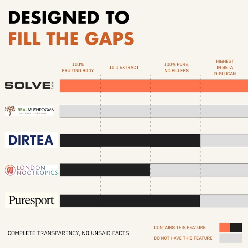 SOLVE Labs® ● Premium Siberian Chaga Extract Powder ● 10%