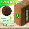 Anothera Anothera Coco Coir Brick for Plants- 12 Pack Premium