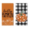 Croar Fall Hello Pumpkin Kitchen Dish Towels Set of 2,