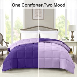 Homelike Moment Lightweight Queen Comforter - Purple Down Alternative Bedding Comforters Queen Size, All Season Duvet Insert Quilted Reversible Bed Comforter Soft Queen Full Size Plum/Light Purple