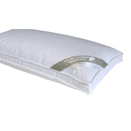 Betten Hofmann Parade Feather Pillow with Outer Bridge, Extra Firm, Thick, 40 x 80 cm, 1000 g, Durable, Natural Product