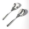 Spoon, Curry Sage Carrier, Yamazaki Metal Industries