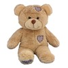 Cuddly Soft 16 inch Stuffed Brown Patches Teddy Bear...We Stuff