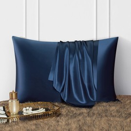 DISANGNI 100% Natural Mulberry Silk Pillow Case for Hair and Skin with Hidden Zipper 22 Momme Both Sides Real Silk Pillow Case (1pc Queen Size 20" x30", Blue)