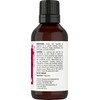 Horbäach Japanese Cherry Blossom Fragrance Oil | 1 fl oz