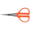 Closest Positive (chikamasa) Stainless Steel fluorine Grapes Scissor B –