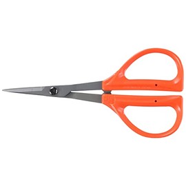 Closest Positive (chikamasa) Stainless Steel fluorine Grapes Scissor B – 300SF