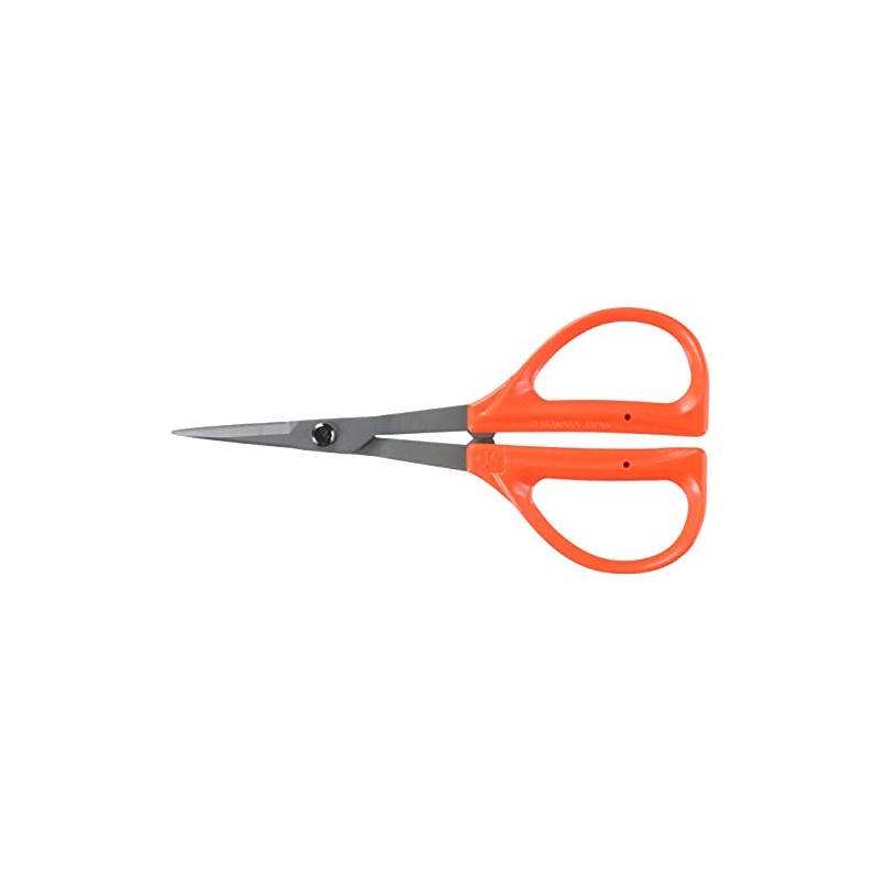 Closest Positive (chikamasa) Stainless Steel fluorine Grapes Scissor B –