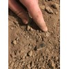 Herkimer Diamond Pay Dirt (10oz)