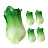 KICHOUSE 5pcs Mini Vegetable Models Realistic Resin Miniature Green Vegetables