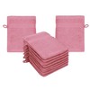 10 Piece Set Wash Mitts Premium Colour: old rose, Size: