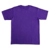 PAC FABRIC DYE Textile Dye col.13 Grape Purple with Color