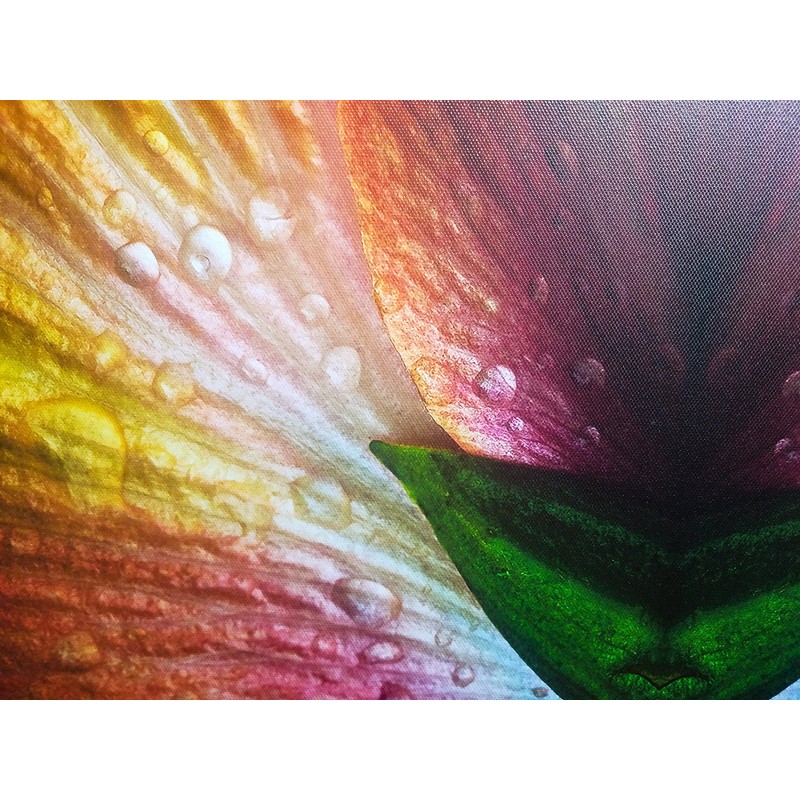 8.5" X 11" Canvas Textured Premium Inkjet Photo Paper -