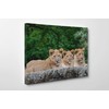 3 Cute Lion Cubs Wildlife Canvas/Wall Art For Home/Office/Living Room/Bedroom