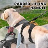 PUPTECK Escape Proof Dog Harness and Leash Set Upgraded No