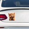 2 pcs Thinking Cat Funny Car Bumper Sticker,6 Inch Vinyl