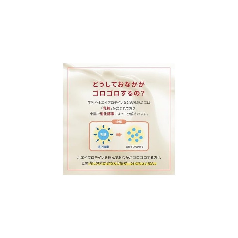 WINZONE 부드러운 유청 단백질 1kg 완숙 바나나 맛 유당 99%