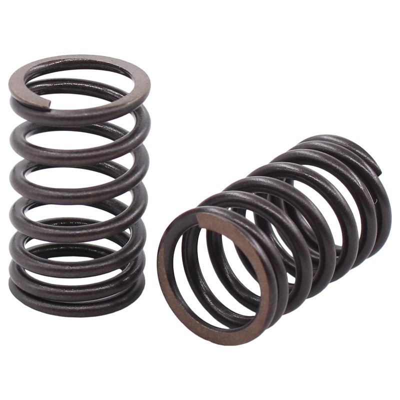 ApplianPar Cylinder Intake and Exhaust Valve Spring Head Gasket kit