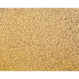 Generic 1 Qaurt Genuine Japanese Shohin Kanuma for Acid Loving Plants & Bonsai Tree Soil Mix - Grain Size (2 mm-3 mm), KASS1Q