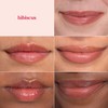 Burt's Bees Lip Tint Balm with Long Lasting 2 in