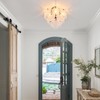 VANZARLA Modern Flush Mount Glass Ceiling Light, Black Hallway Lights