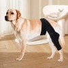 애견용보호 강아지용품 커버 보호대 다리 슬개골 탈골uvw543 Pet Dog Protective