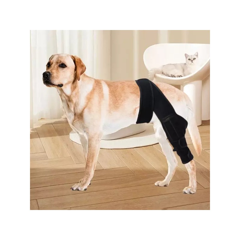 애견용보호 강아지용품 커버 보호대 다리 슬개골 탈골uvw543 Pet Dog Protective