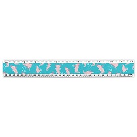 Cute Axolotl Mexican Walking Fish 12 Inch Standard and Metric Plastic Ruler