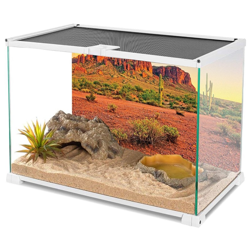 AWERT 48x24 inches Reptile Habitat Background Sky Oasis Mountain Cactus