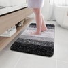 Arotive Microfiber Bathroom Rugs, Shaggy Soft and Absorbent Bath Rug,