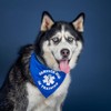 Service Dog in Training Dog Bandana (Navy, OS 289)