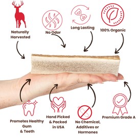 Best Chews Split Antlers for Dogs - Premium USA Sourced Elk Antlers for Dogs - Dog Antler Chews - Durable Dog Antlers for Aggressive Chewers - Split Elk Antlers for Dogs for Oral Health