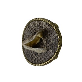 Treasure Gurus The Belt Buckle measures 4 1/2" Wide, 2 1/4" tall, and is about 3/4" thick at the head of the Cobra