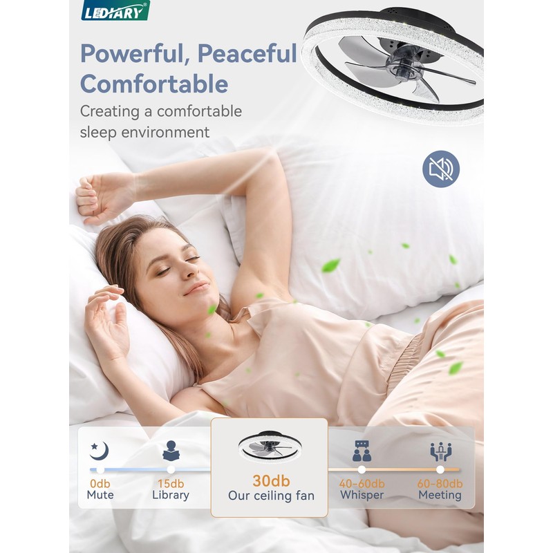 LEDIARY 20" Low Profile Ceiling Fan with Light and Remote,