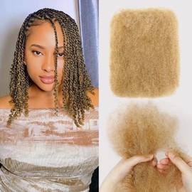 BLL Afro Kinkys Bulk Human Hair 16 Inch 50g/Pack for Mini Twist -100% Real Hair for Braiding, Repair Locs, Dreadlock Extensions, Afro Kinky Curly Bulk Crochet Braids Twists (27#, 16 Inch Pack Of 1)