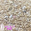 Okinawa Ishigaki Island Star Sand Pack, 3.5 oz (100 g)