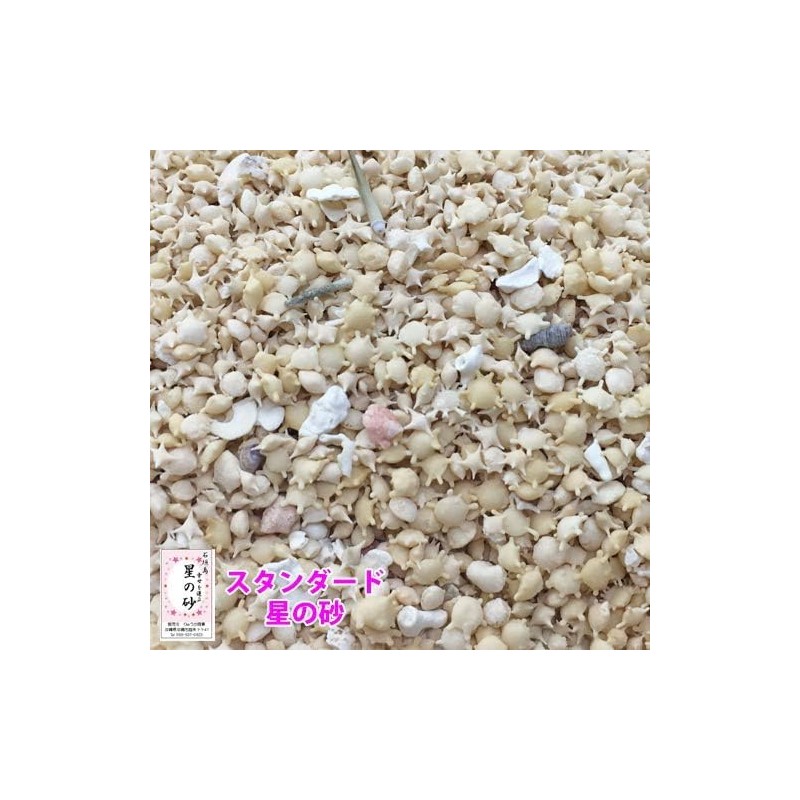 Okinawa Ishigaki Island Star Sand Pack, 3.5 oz (100 g)