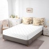 Castle Fairy Burritos Tortilla Reversible Comforter Set 7 Piece Twin