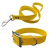 L'Atelier du Fourmilier Dog Collar and Leash in BioThane material,