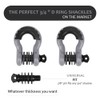 AUTOBOTS Shackles 3/4" (2 Pack), D Ring Shackle 45,000Ib Max