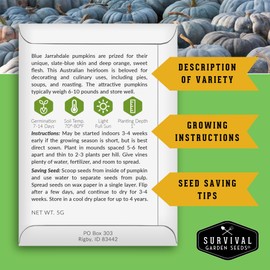 Blue Jarrahdale Pumpkin Seeds for Planting | Heirloom Non-GMO Variety with Decorative Blue-Gray Skin & Sweet Flesh for Baking, Fall Decor – Survival Garden Seeds (5 Packs)