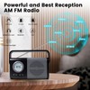 ottosing AM/FM Portable Radio & Bluetooth Speaker- Battery Operated &