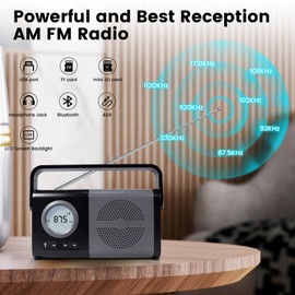 ottosing AM/FM Portable Radio & Bluetooth Speaker- Battery Operated & Wall Plug-in, Headphone Jack, Digital LCD Display, USB/TF Playback - Easy to Use Gifts for Seniors